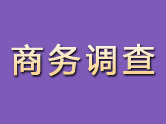 邓州商务调查